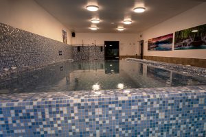 Spa interior - Hotel Roser House